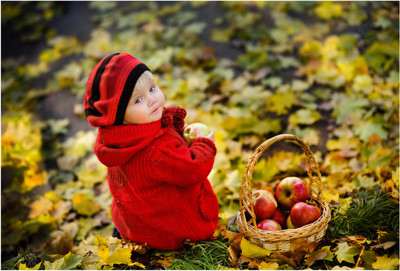 

Baby N Apple Photographic Paper(13 inch X 19 inch, Rolled)