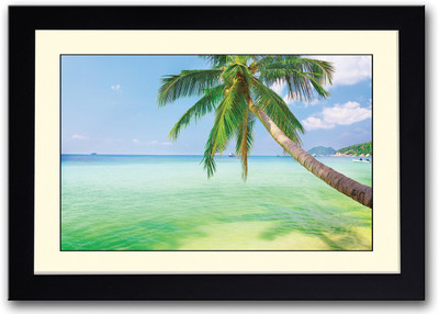 

Coconut Tree On Beach Fine Art Print(14 inch X 20 inch, Framed)