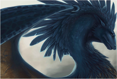 

Dragon Paper Print(13 inch X 19 inch, Rolled)