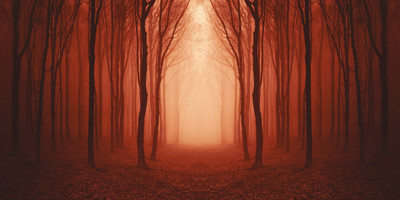 Nature Painting Canvas Art(18 inch X 36 inch)