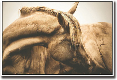 

Brown Horse Fine Art Print(12 inch X 18 inch, Rolled)