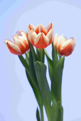 

Posterhouzz Flower Fine Art Print Poster Fine Art Print(18 inch X 12 inch, Rolled)