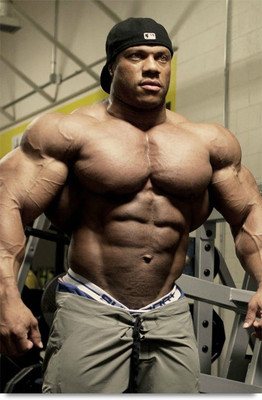 

Mr. Olympia Champ Paper Print(18 inch X 12 inch, Stacked)
