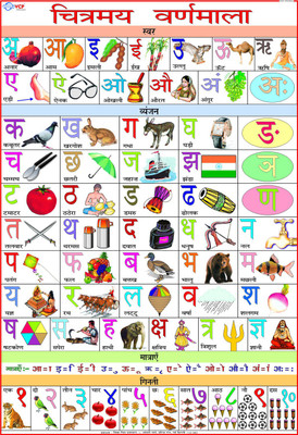 Hindi Alphabet for Children Paper Print(40 inch X 28 inch, Rolled)