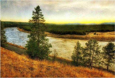 

Nature Paper Print(19 inch X 13 inch, Rolled)