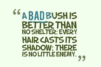 

Posterhouzz A Bad Bushis Poster Fine Art Print(12 inch X 18 inch, Rolled)