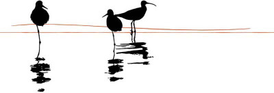 

Tallenge - Elegant Water Birds - A3 Size Premium Quality Rolled Poster Paper Print(16.5 inch X 11.7 inch, Rolled)