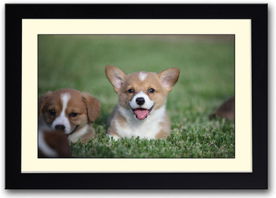 

Welsh Corgi Puppies Fine Art Print(14 inch X 20 inch, Framed)