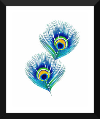 

Tallenge - Peacock Feathers - Premium Quality A3 Size Framed Poster Paper Print(17 inch X 12 inch, Framed)