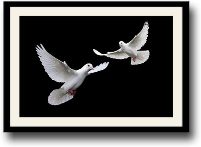 

Two White peace doves Fine Art Print(10 inch X 14 inch, Framed)