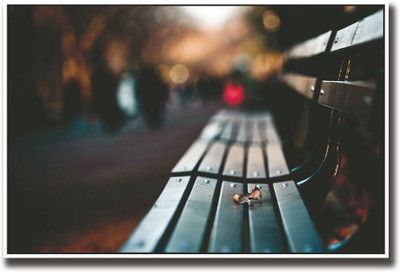 

Lonely Bench Fine Art Print(12 inch X 18 inch, Rolled)