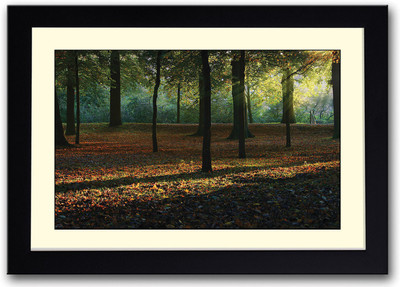

Autumn Trees Fine Art Print(14 inch X 20 inch, Framed)