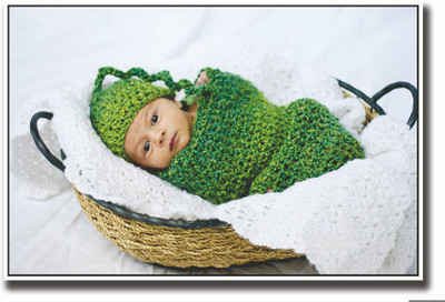 

Posterhouzz Baby in green in basket Fine Art Print(12 inch X 18 inch, Rolled)