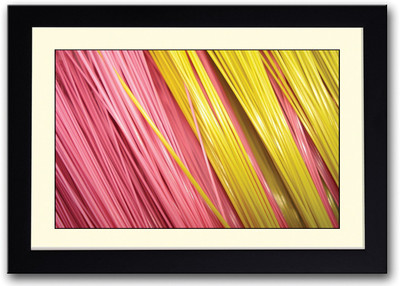 

Colourful Pink and Yellow Wires Fine Art Print(14 inch X 20 inch, Framed)
