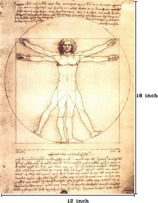 34% OFF on Vitruvian Man by Leonardo da Vinci Paper Print(18 inch X 12 inch, Rolled)