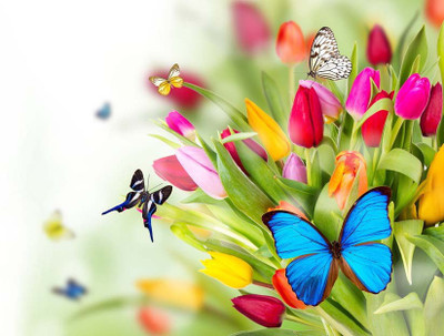 

Art For Kids Room Décor - Beautiful Butterflies On Flowers - Medium Size Rolled Digital Art Print On Photographic Paper(27 inch X 18 inch, Rolled)