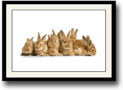 

Bunny rabbits Fine Art Print(10 inch X 14 inch, Framed)