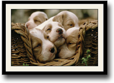 

Cute puppies in basket Fine Art Print(10 inch X 14 inch, Framed)