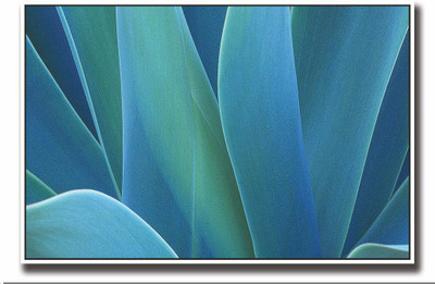 

Posterhouzz Blue abstract design Fine Art Print(12 inch X 18 inch, Rolled)
