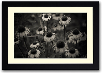 

Flowers Black and White Fine Art Print(14 inch X 20 inch, Framed)
