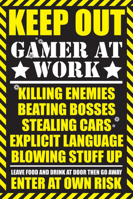 

Gamer At Work Poster Paper Print(18 inch X 12 inch, Rolled)