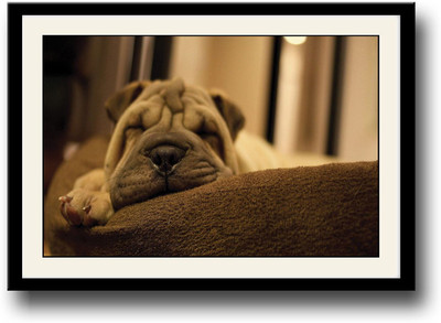 

Sleeling Puppy Fine Art Print(10 inch X 14 inch, Framed)