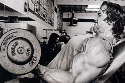

Oshi - Arnold Schwarzenegger Intense workout Paper Print(12 inch X 18 inch, Stretched)