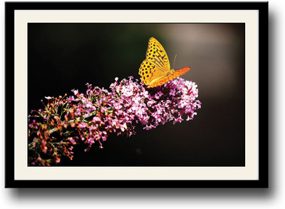

Yellow butterfly amazing Fine Art Print(10 inch X 14 inch, Framed)