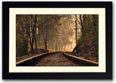 

Train Track In Forest Fine Art Print(14 inch X 20 inch, Framed)