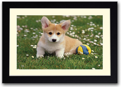 

Dog with ball Fine Art Print(14 inch X 20 inch, Framed)