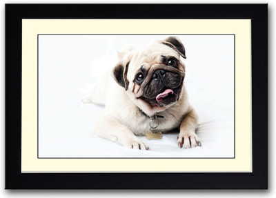 

Pug Dog Fine Art Print(14 inch X 20 inch, Framed)