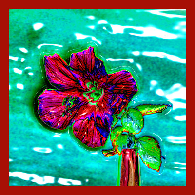 50% OFF on Hibiscus in Paper Print(20 inch X 20 inch) 50% OFF on Hibiscus in Paper Print(20 inch X 20 inch)