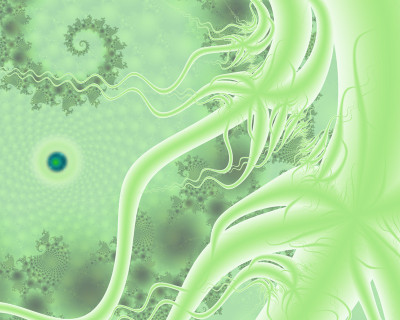 50% OFF on Fractal beauty Paper Print(19 inch X 24 inch) 50% OFF on Fractal beauty Paper Print(19 inch X 24 inch)