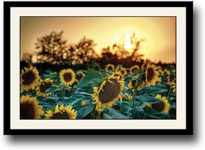 

Yellow sunflower Fine Art Print(10 inch X 14 inch, Framed)