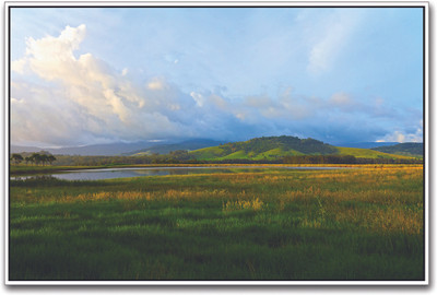 Beautiful Grass Land Amazing Paper Print(12 inch X 18 inch)