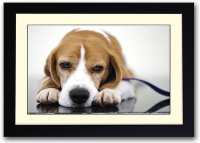 

Cute dog AFP0514 Fine Art Print(14 inch X 20 inch, Framed)