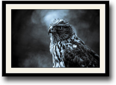 

Eagle amazing Fine Art Print(10 inch X 14 inch, Framed)
