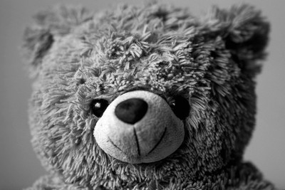 

Oshi - Teddy Bear Paper Print(12 inch X 18 inch, Streched)