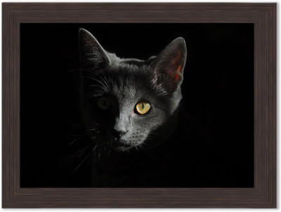 

Talking Cats Nature Themed Framed Poster Photographic Paper(13.5 inch X 10 inch, Box Packing)