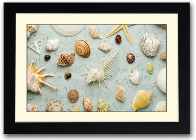 

Sea Shells Fine Art Print(14 inch X 20 inch, Framed)