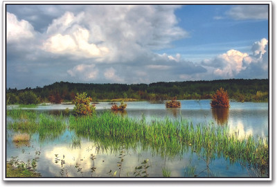 Grass and Water Paper Print(12 inch X 18 inch)