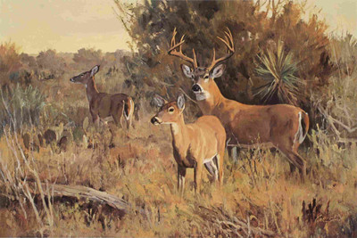 25% OFF on Elite Collection Frameless Painting Animal-0091 Canvas Art(18 inch X 24 inch)