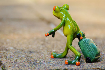 

frog farewell travel luggage poster Fine Art Print(12 inch X 18 inch, Rolled)