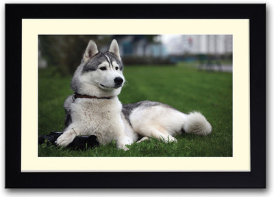 

Cute Dog Fine Art Print(14 inch X 20 inch, Framed)