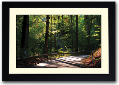 

Sunlight through the trees Fine Art Print(14 inch X 20 inch, Framed)