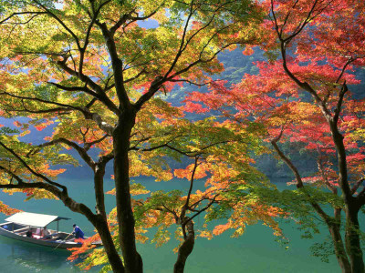 

Posterhouzz Autumn Fine Art Print Poster Fine Art Print(12 inch X 18 inch, Rolled)