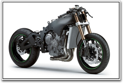 

Kawasaki Ninja Motorcycle Paper Print(12 inch X 18 inch)