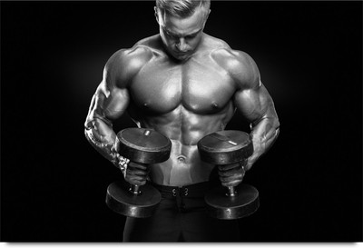 

Chest and Biceps Workout Body Building Paper Print(12 inch X 18 inch, Stacked)