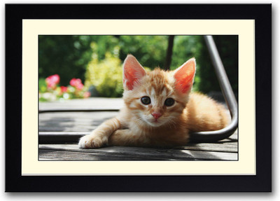 

cute cat Fine Art Print(14 inch X 20 inch, Framed)