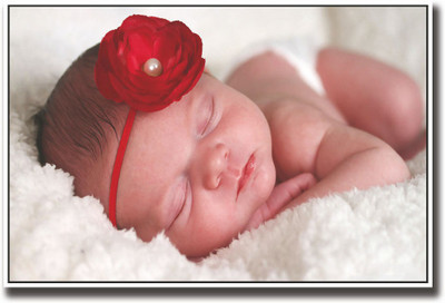

New born baby with rose hair band Fine Art Print(12 inch X 18 inch, Rolled)
